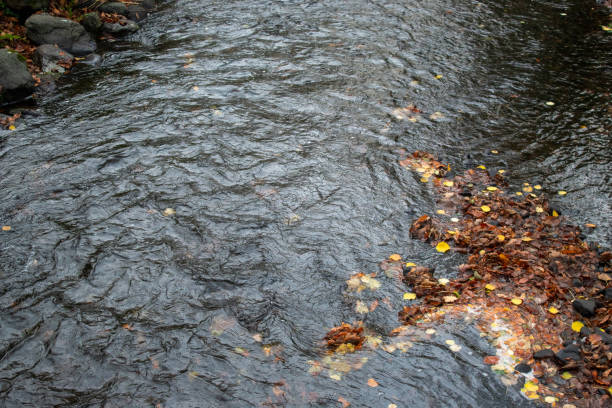 Waterfalls in Autumn at Presque Isle River Falls Loop Trail in Porcupine Mountains, Michigan, USA
