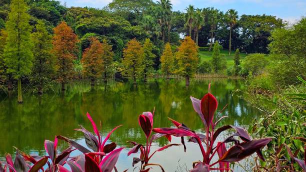 istock Serene lake with vibrant foliage reflection 2192811046