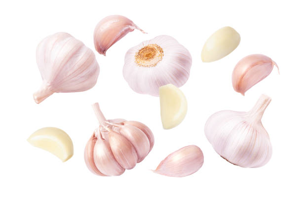istock Garlic clove and bulb isolated on white 2192815079