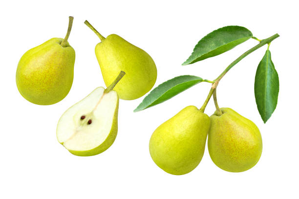Green pear with slices isolated on white background.