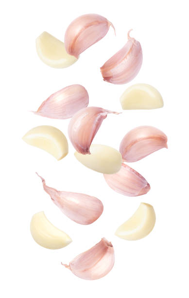 Garlic clove and bulb flying in the air isolated on white background.