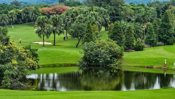 istock Lush Golf Course with Palm Trees and Pond 2192815615