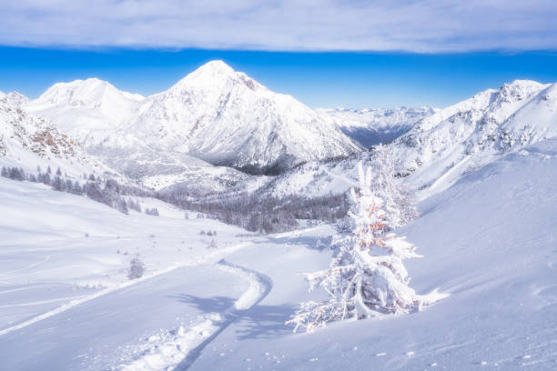 A breathtaking winter scene showcasing majestic beauty of snowcovered mountains, a meandering pathway, and an immaculate white landscape beneath clear blue sky, Montgenevre ski village, Alps, France