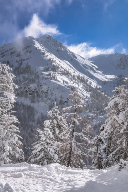 istock Breathtaking Winter Landscape Featuring Majestic SnowCovered Mountains Surrounded by Pine Trees and Nature 2192817401