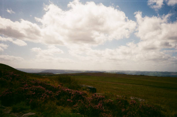 Scenic views, heather and rolling hills across the peak district. Shot on 35mm Film
