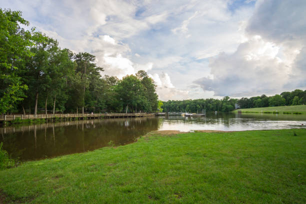 istock The Park in June 2192828240