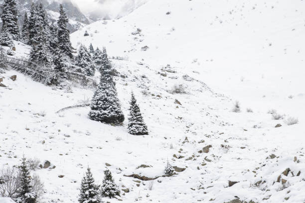 The rugged, snow-capped mountains of Shymbulak glisten in the sunlight, offering a breathtaking scene of nature's grandeur. Photographed from the summit, this image captures the beauty of winter in the Tien Shan range.