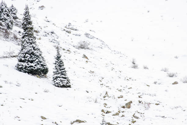 The rugged, snow-capped mountains of Shymbulak glisten in the sunlight, offering a breathtaking scene of nature's grandeur. Photographed from the summit, this image captures the beauty of winter in the Tien Shan range.