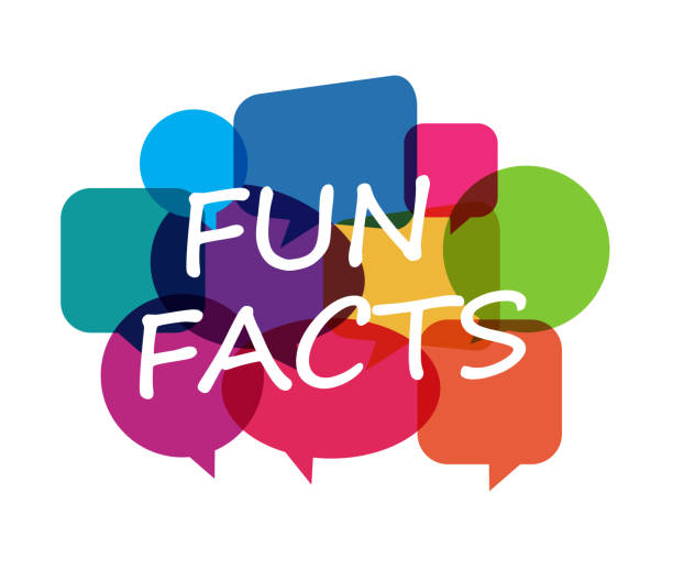 Information Sign Fun Fun Facts Icon Fun Fact Stock Vector Images Alamy