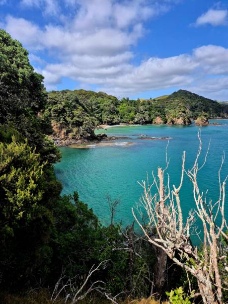 istock Scenic coastal view with lush greenery and turquoise waters. 2192832285