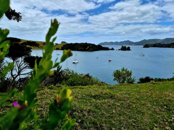 istock Tranquil bay with sailboats and greenery. 2192832386