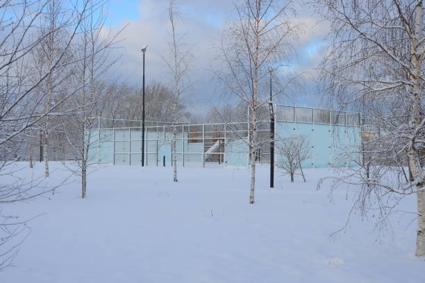 istock A serene winter landscape showcasing snowcovered trees alongside a modern architectural building 2192833961