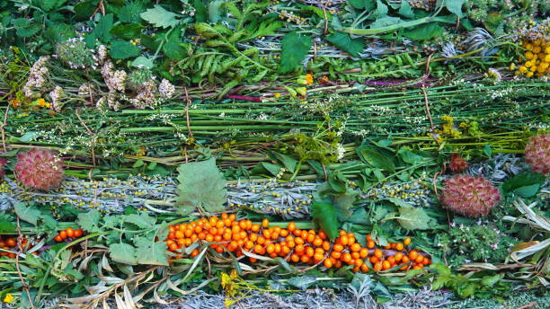istock Herbs Fresh Collected Overhead Green Multicolor Lush Vibrant Natural Assorted 2192834561