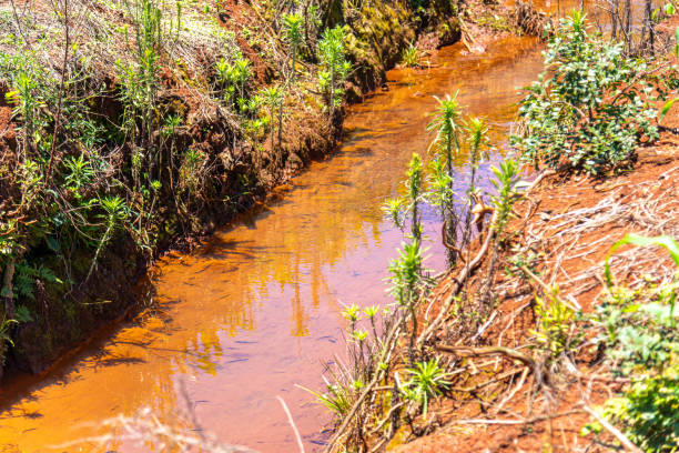 istock Irrigation channel in corn field in Brazil 2192834959