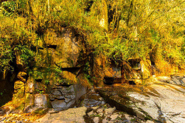 Stone stream in tropical forest in Brazil.