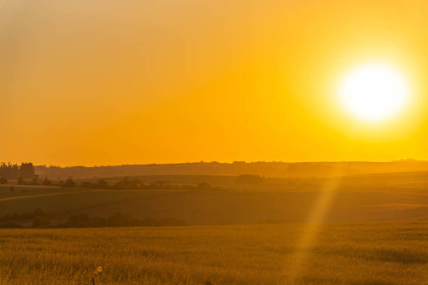 istock Sunset in the fields of Pampa 2192837585