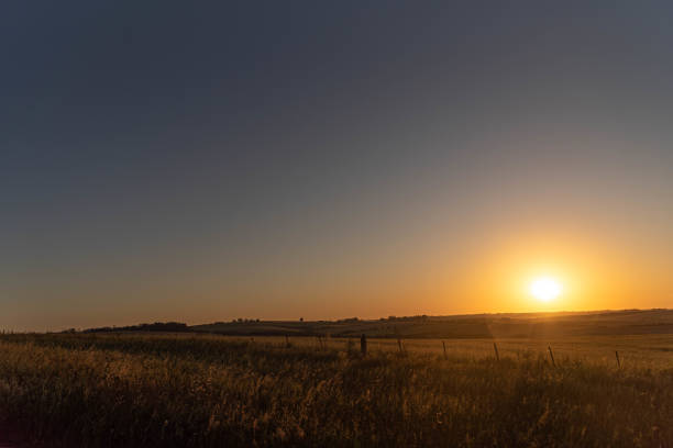istock Sunset in the fields of Pampa 2192837599