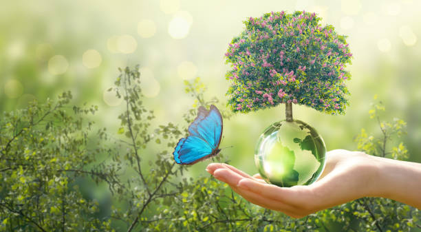 istock Earth Day or World Environment Day concept. Tree on globe and Morpho butterfly in hand on green background. Save planet and protect nature, sustainable themes. 2192837955