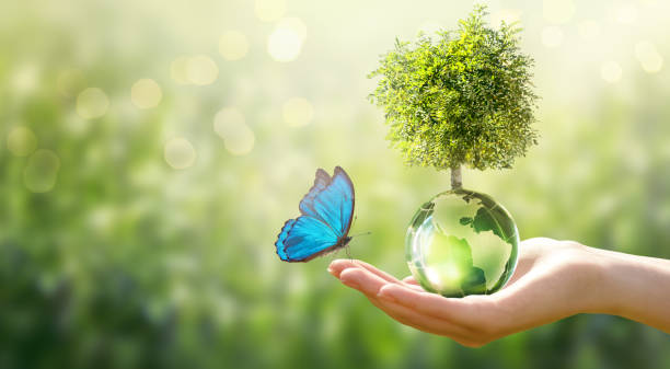 istock Earth Day or World Environment Day concept. Tree on globe and Morpho butterfly in hand on green background. Save planet and protect nature, sustainable themes. 2192837960