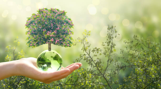 istock Earth Day or World Environment Day concept. Tree growing on globe in hand on green background. Save planet and protect nature, sustainable themes. 2192837962