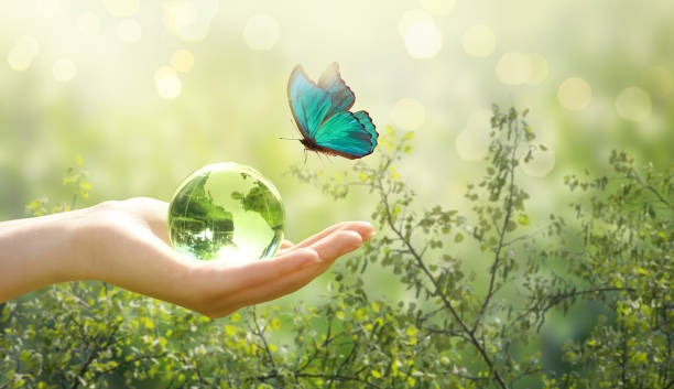 istock Earth Day or World Environment Day, environmentally friendly theme. Morpho butterfly and globe in hand on green background. Save planet and protect nature, sustainability concept. 2192837965