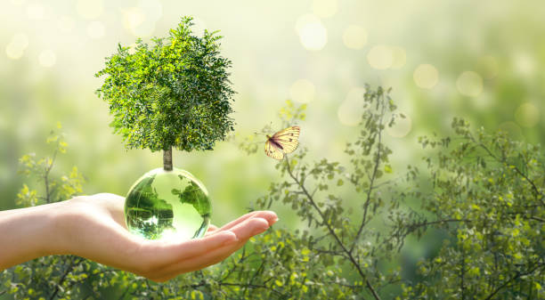 Earth Day or World Environment Day, environmentally friendly concept. Tree on globe and butterfly in hand on green background. Save planet and protect nature, sustainable themes.