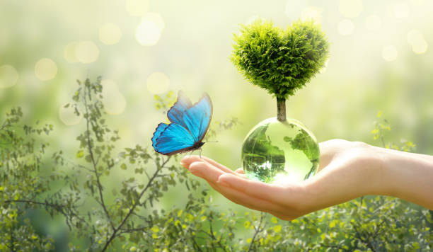 istock Earth Day or World Environment Day, environmentally friendly concept. Tree in heart shape on globe and Morpho butterfly in hand on green background. Save planet and nature, sustainable lifestyle theme. 2192837971
