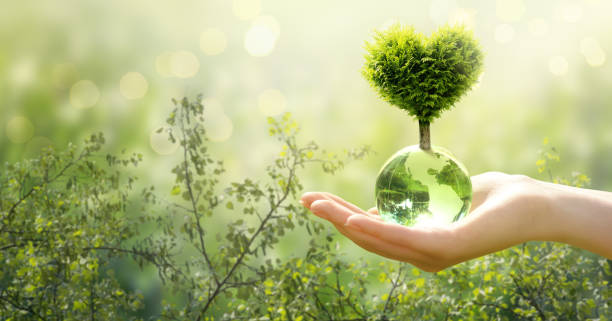 istock Earth Day or World Environment Day concept. Tree in heart shape grows on globe in hand on green background. Save planet and nature, sustainable lifestyle theme. 2192837974