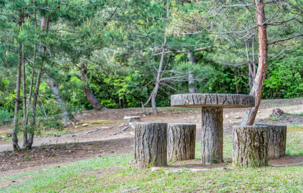 istock Tranquil scene with a table and chairs in Arashiyama Park, Kyoto. 2192841229