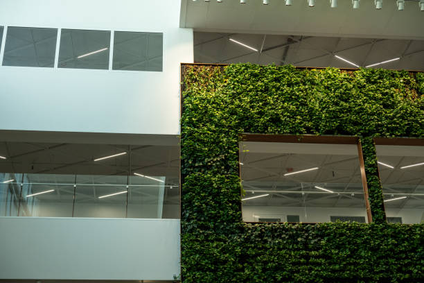 istock Green plant wall decoration at an office building. 2192844699