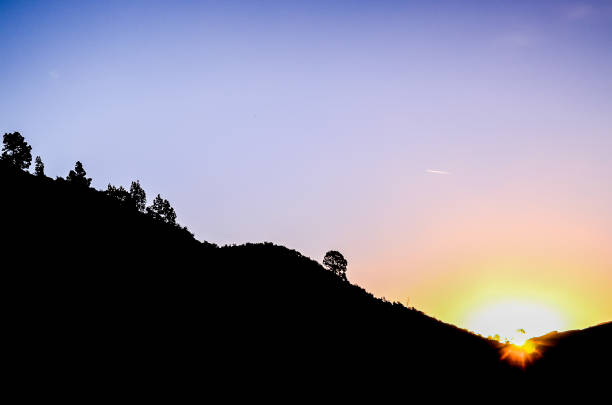 A beautiful sunset over a hillside with a tree in the foreground. The sky is a deep blue color with a few clouds
