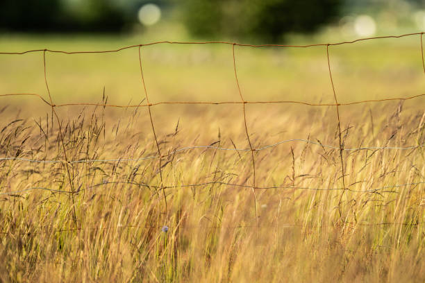 istock Rusty metal fence in a grass field. 2192844819