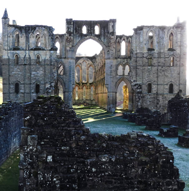 Stone abbey ruins stand against a dramatic sky. Sunlight illuminates the weathered facade of the Gothic structure, highlighting its arches and spires  in Whitby, UK.