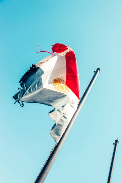 Egyptian flag against the Nile river. Egypt, North Africa.