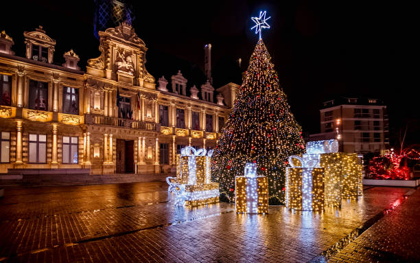 istock Christmas tree in front of Reims town hall at night 2192849925