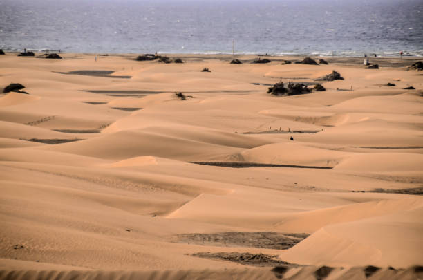 istock A desert landscape with sand dunes and a beach in the background 2192851770