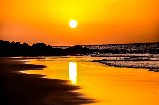 The sun is setting over the ocean, casting a warm glow over the beach. The water is calm and the sky is a beautiful mix of orange and pink hues. The scene is serene and peaceful