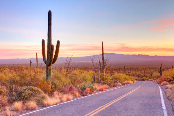 istock Arizona desert road 2192852612