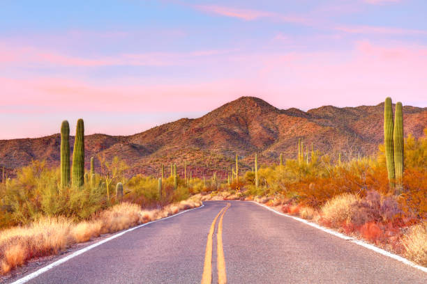 Saguaro National Park is a national park of the United States in southeastern Arizona.