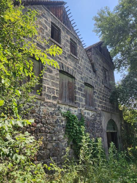 istock Abandoned stone building in overgrown vegetation, Georgia 2192852829