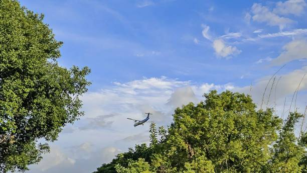 istock Airplane soaring above green trees and blue sky. 2192852936