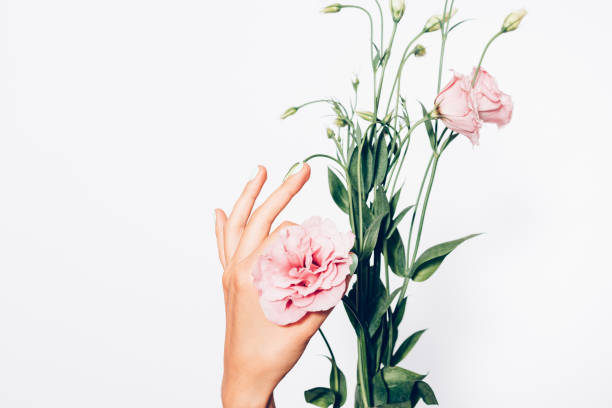 istock A hand is holding a pink flower 2192855402