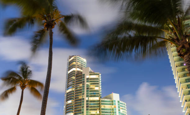 istock City downtown with skyscraper. Office building in business district. Hiding in palm tree. Skyscraper building architecture. Business skyscraper structure. Modern structural building. Skyscraper city 2192857966