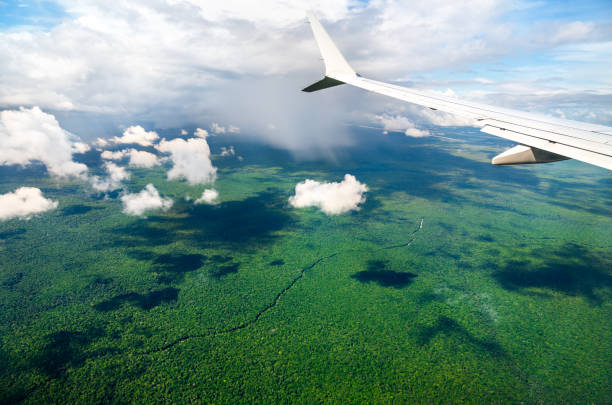 Airplane flying above the Amazon Rainforest of Guyana