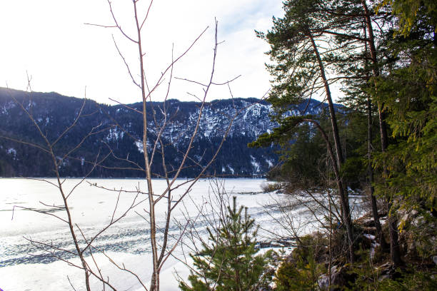 istock Scenic Winter Landscape Featuring a Tranquil Lake Surrounded by Mountains and Bare Trees in a Serene Natural Setting 2192866135