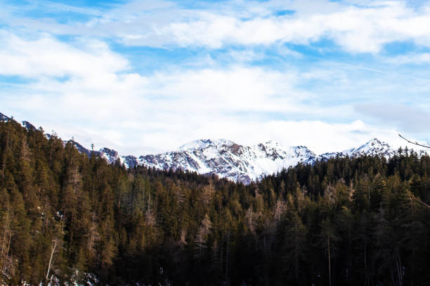 Majestic snow-covered peaks tower over a lush green forest, reflecting a tranquil atmosphere. The sky is partly cloudy, adding beauty to this natural landscape.