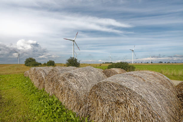 Straw bales on farmland with wind turbine on cloudy sky
