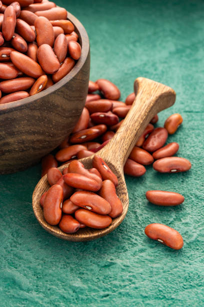 istock Phaseolus vulgaris - Raw dried beans in bowl and spoon. 2192867788