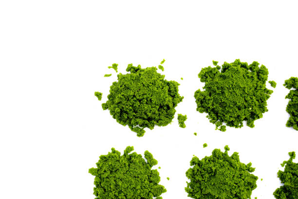 istock Fresh water alga, water meal or swamp algae 2192871256
