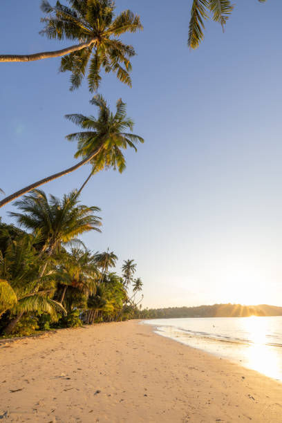 istock Tropical Beach Sunrise with Palm Trees 2192871605